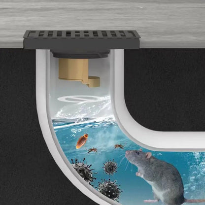 2 Filtre de siphon de sol anti-odeur et anti-insectes